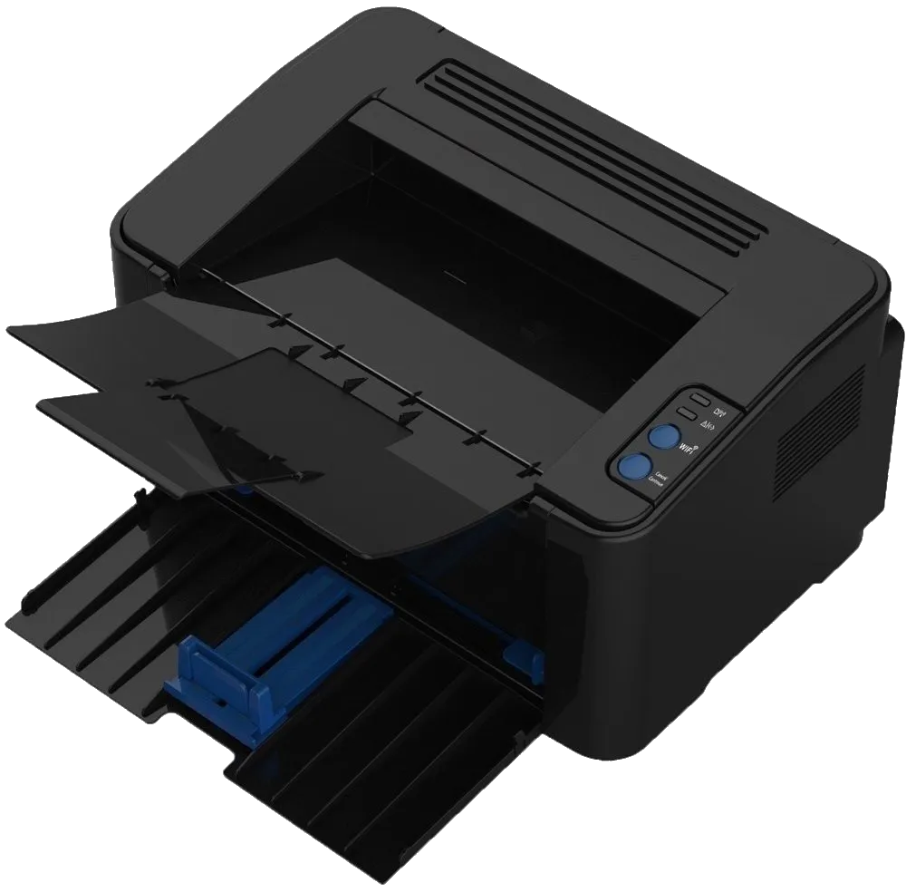 P2500W